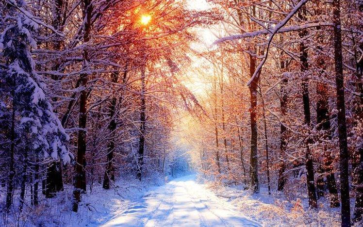 95733-nature-road-trees-snow-winter-748x468.jpg
